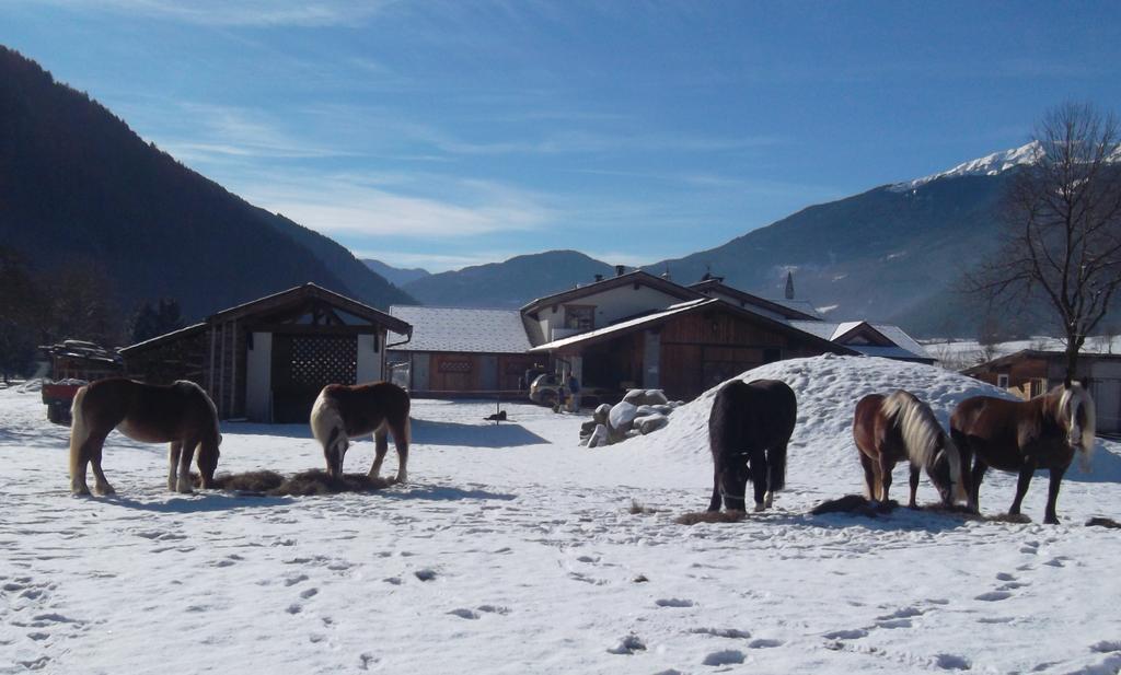 Agriturismo Maso Grisun Borzago Exteriér fotografie