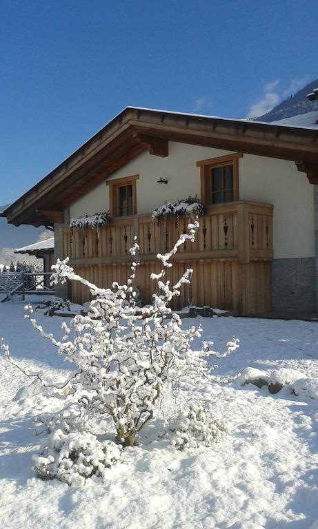 Agriturismo Maso Grisun Borzago Exteriér fotografie