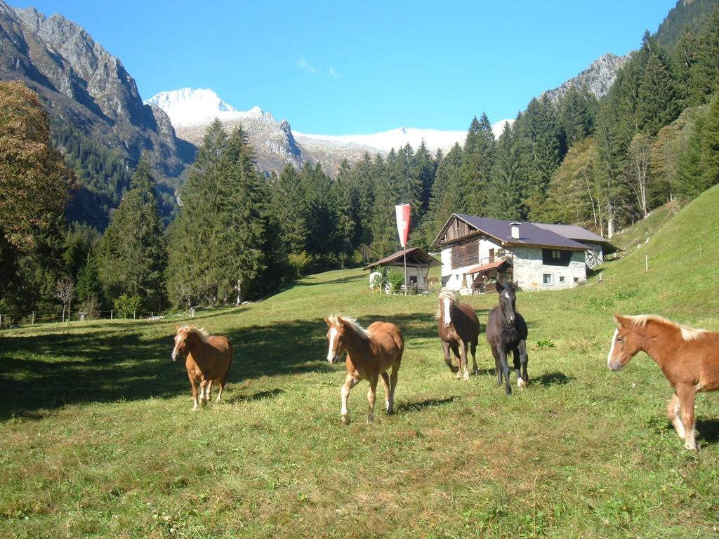 Agriturismo Maso Grisun Borzago Exteriér fotografie