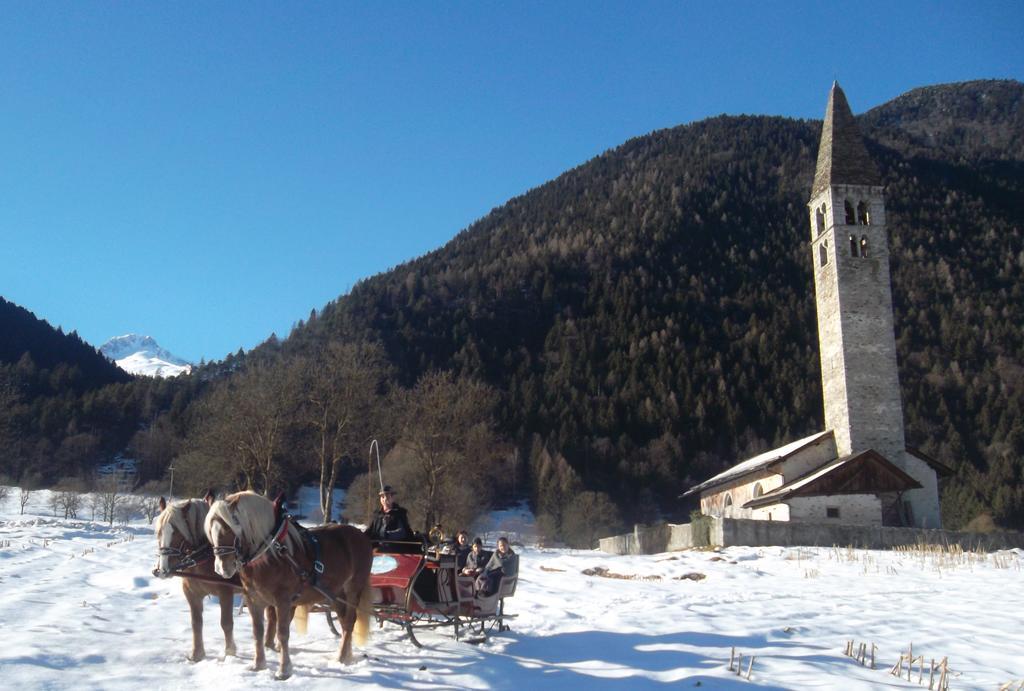 Agriturismo Maso Grisun Borzago Exteriér fotografie