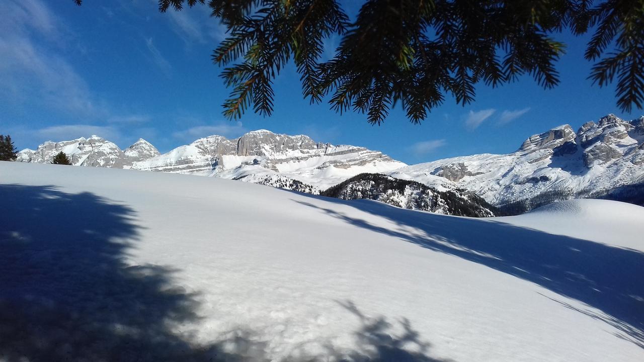 Agriturismo Maso Grisun Borzago Exteriér fotografie