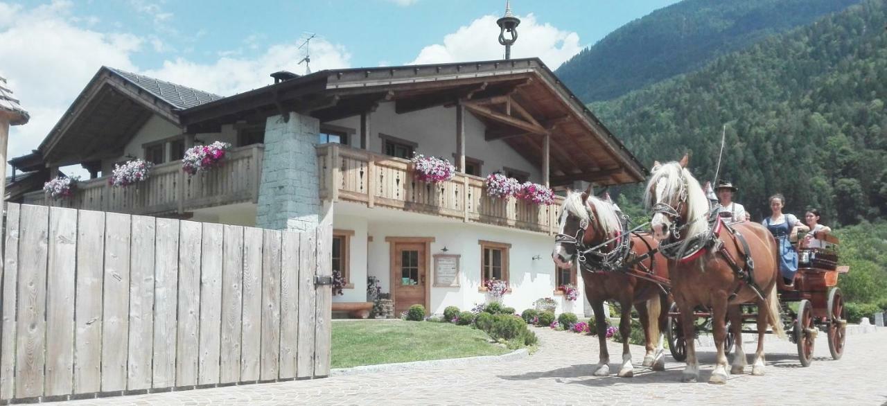 Agriturismo Maso Grisun Borzago Exteriér fotografie